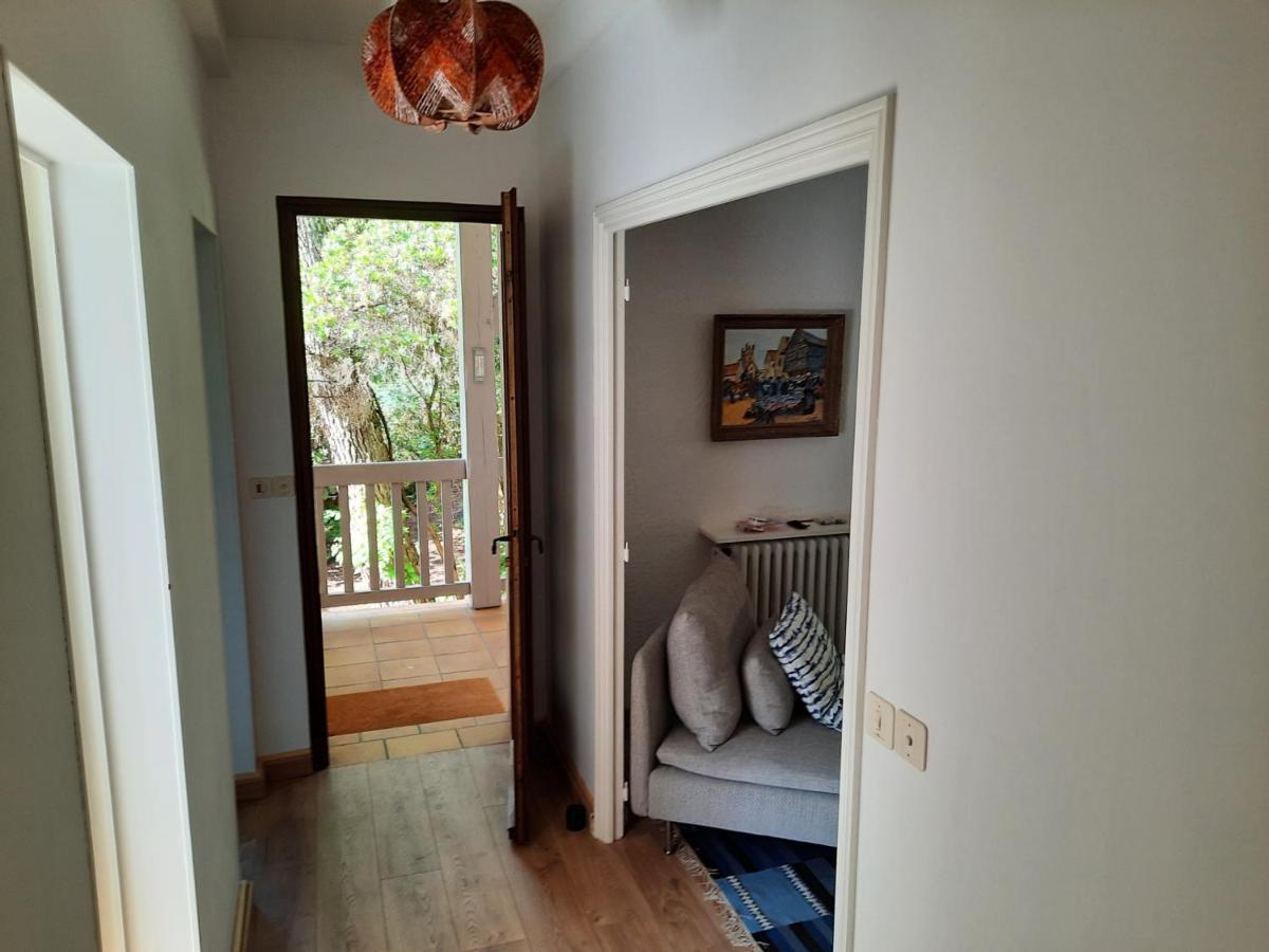 Maison Spacieuse Proche Du Lac D'Hossegor Avec Jardin, Terrasse Ensoleillee Et Studio Independant - Fr-1-239-690 Soorts-Hossegor Eksteriør billede